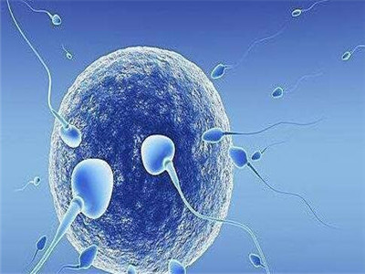 关于代生选性别包生男孩